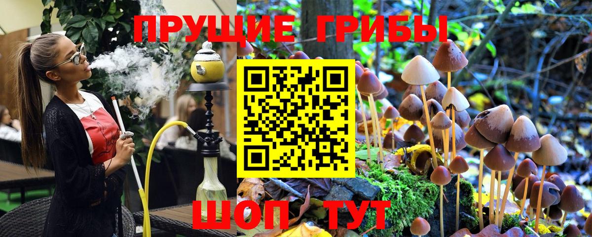 Псилоцибиновые грибы Psilocybine cubensis Гудермес